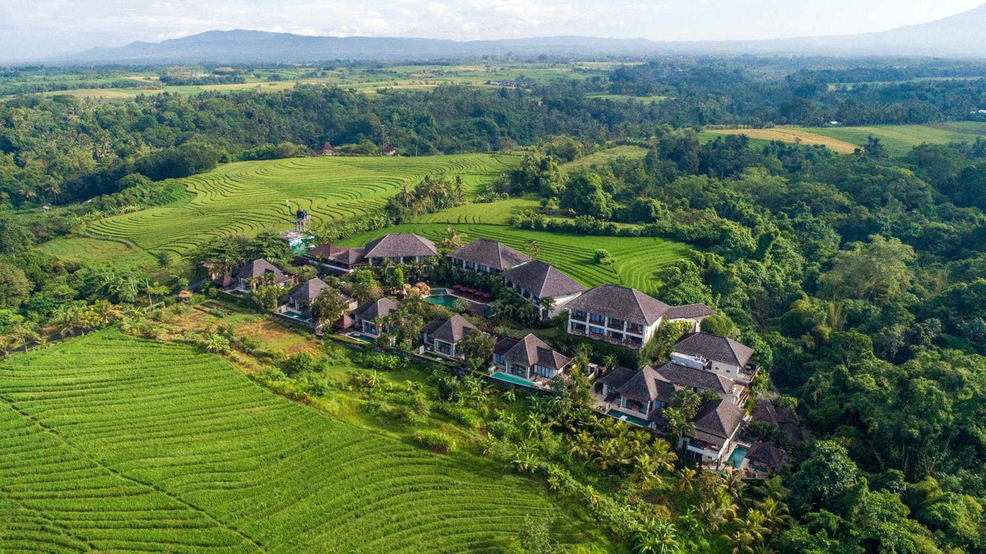 Sahaja Sawah Resort Selemadeg Buitenkant foto